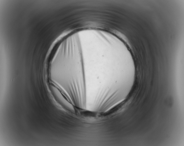 X0000083990987200703091841