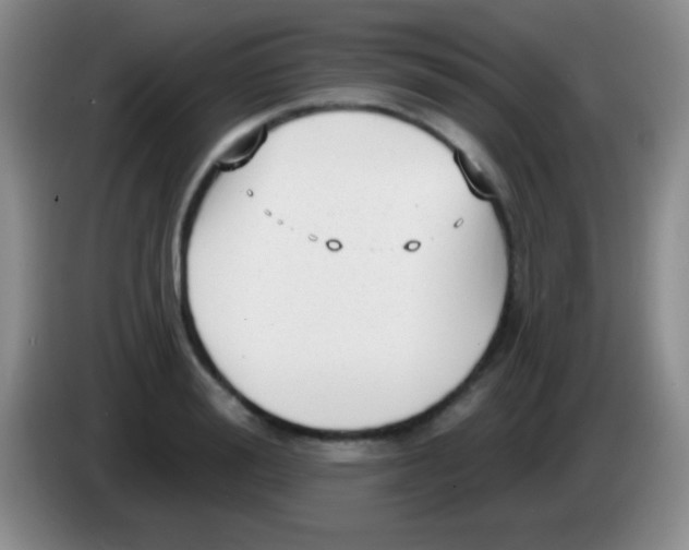 X0000083990988200703091841