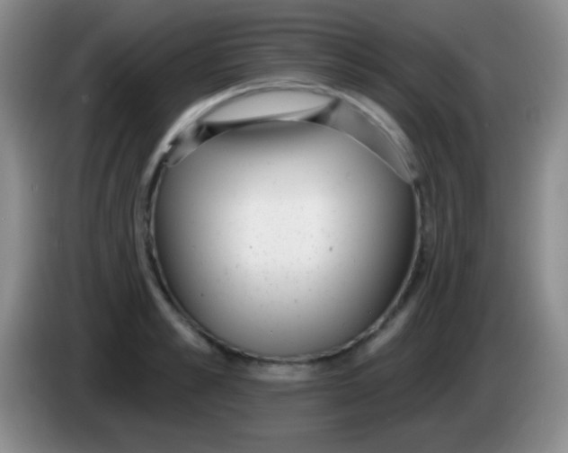 X0000083990989200703091841