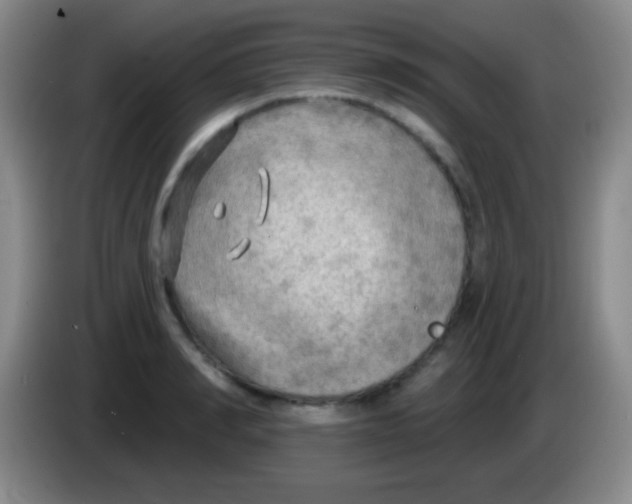 X0000083990990200703091841