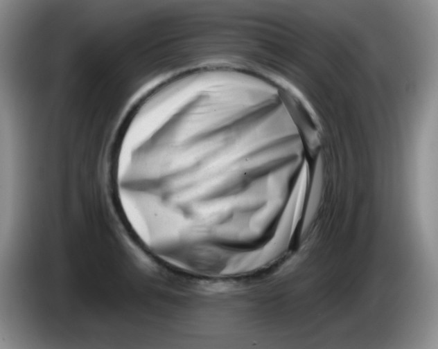 X0000083990991200703091841