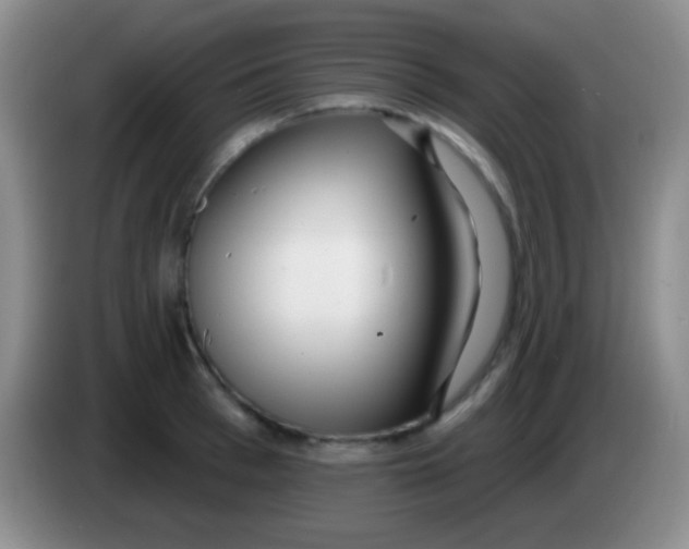 X0000083990993200703091841