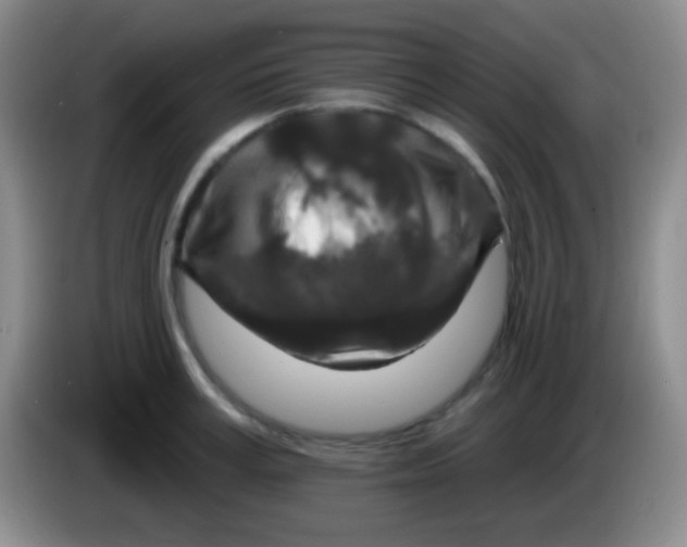 X0000083990995200703091841