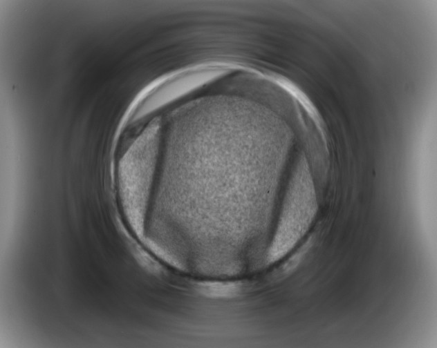 X0000083990996200703091841