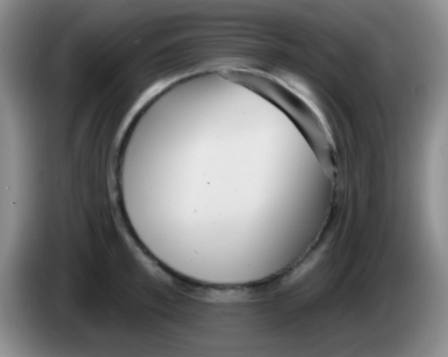 X0000083990997200703091841