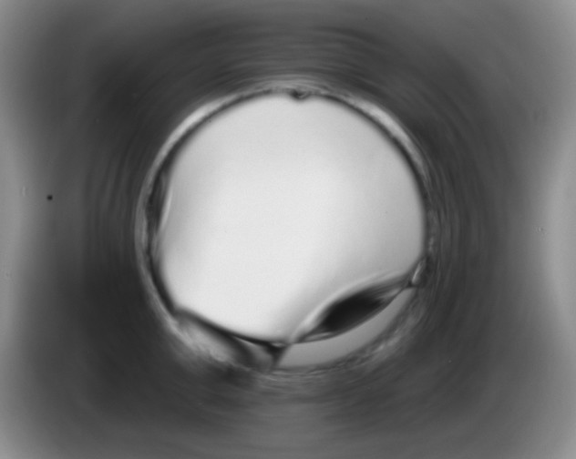 X0000083990999200703091841