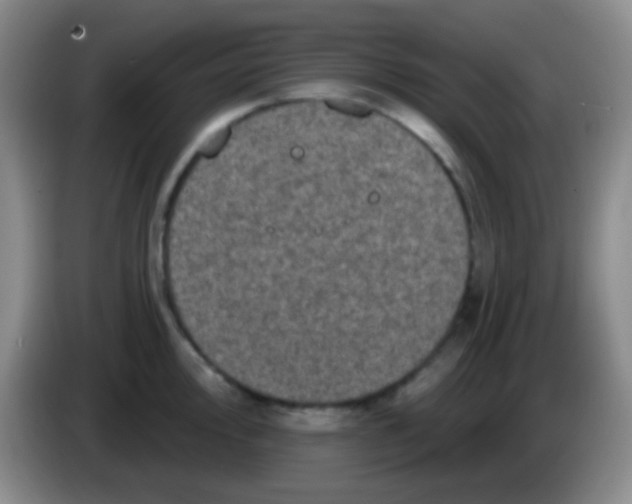 X0000083991000200703091841