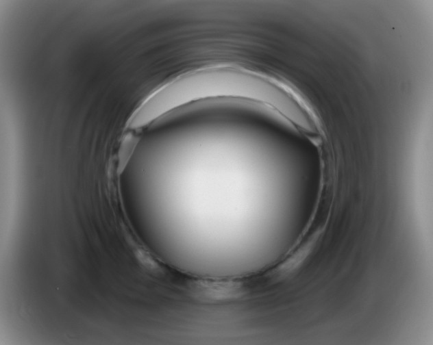 X0000083991001200703091841