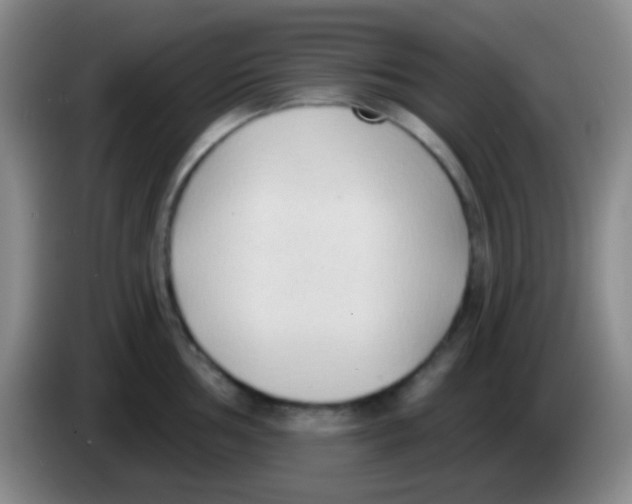 X0000083991002200703091841