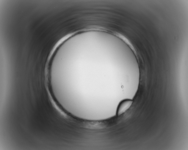 X0000083991003200703091841