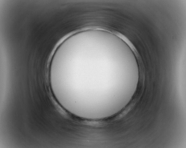 X0000083991004200703091841