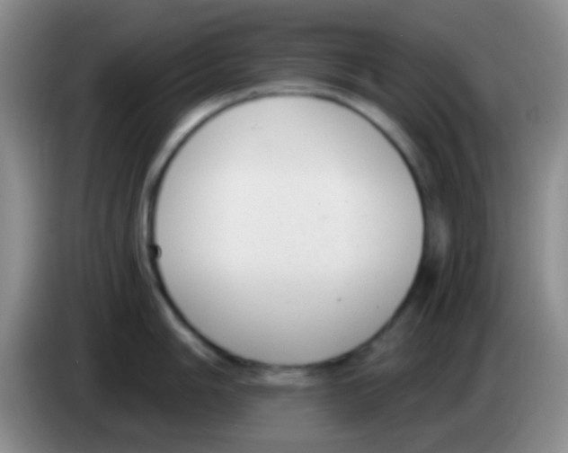 X0000083991006200703091841