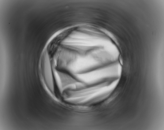 X0000083991007200703091841