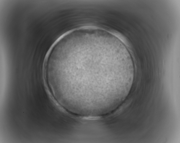 X0000083991008200703091841