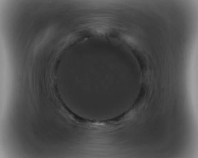 X0000083991009200703091840