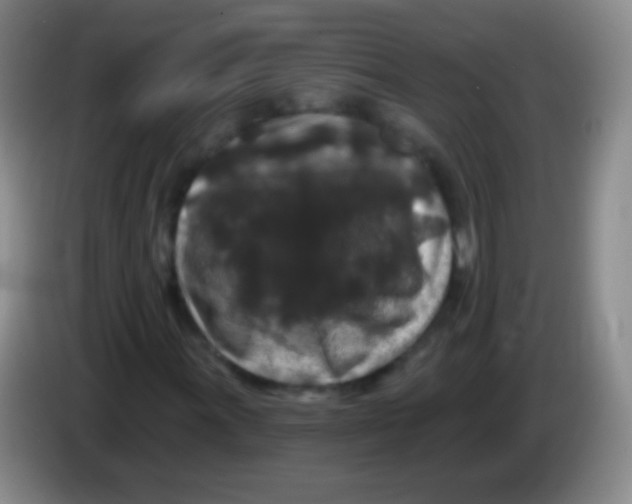 X0000083991011200703091840