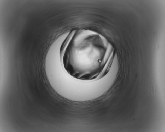 X0000083991012200703091840