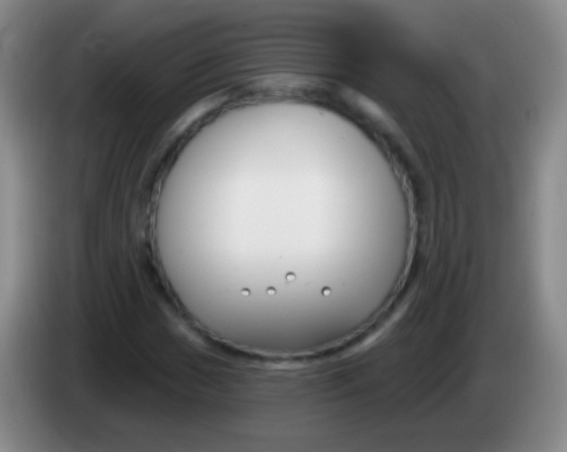 X0000083991017200703091841