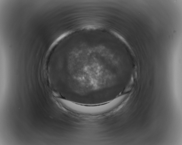 X0000083991018200703091841