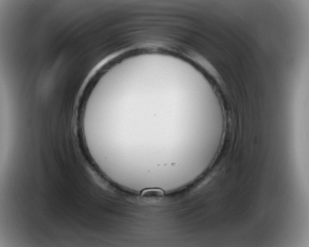 X0000083991020200703091841