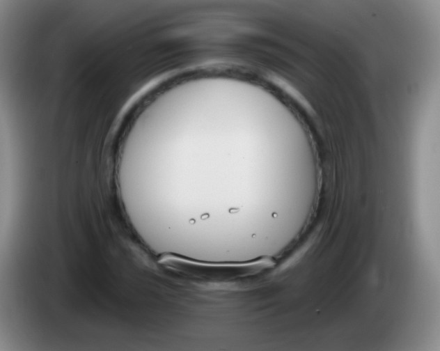 X0000083991021200703091841