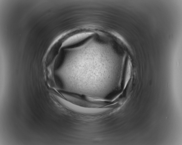 X0000083991022200703091841