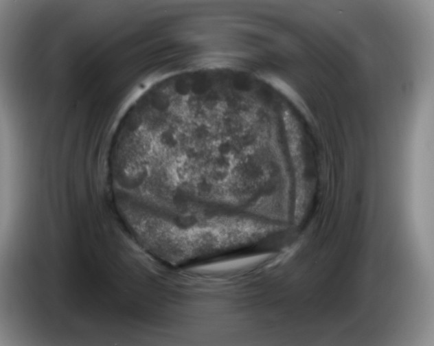 X0000083991023200703091841