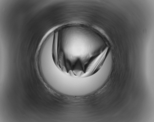 X0000083991024200703091841