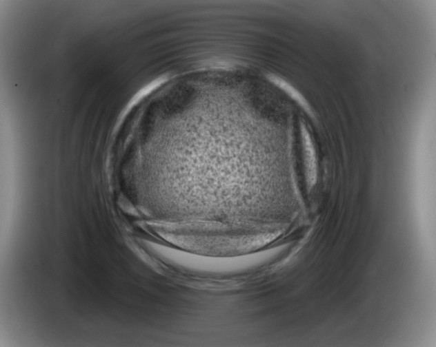 X0000083991026200703091841