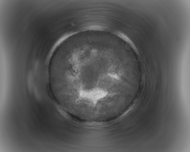 X0000083991027200703091841