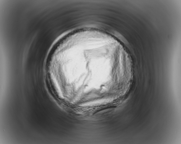 X0000083991028200703091841