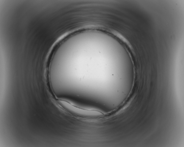 X0000083991029200703091841