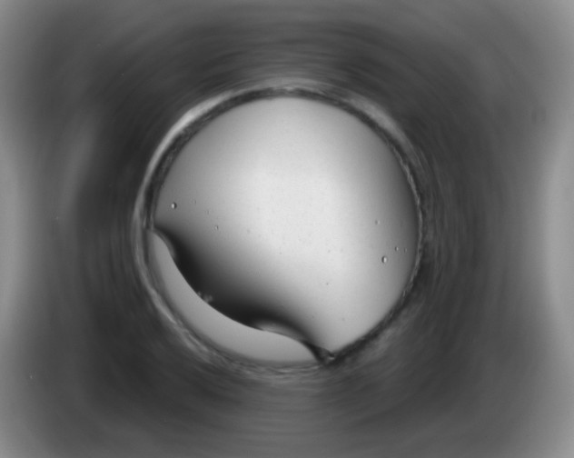 X0000083991032200703091841