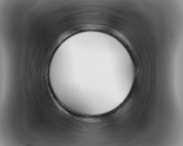 X0000083991033200703091841