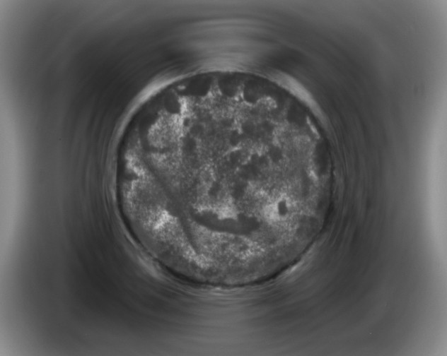 X0000083991035200703091841