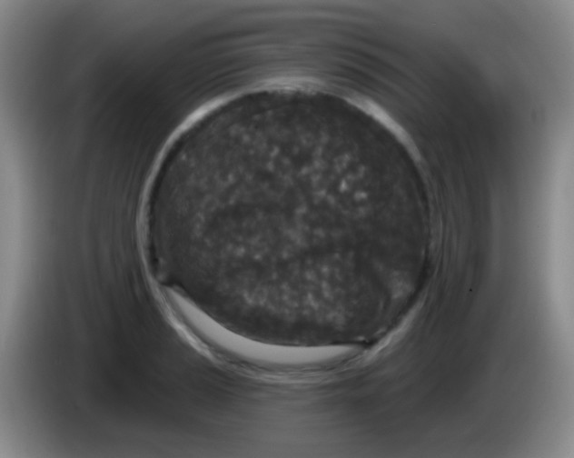 X0000083991037200703091841