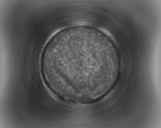 X0000083991039200703091841