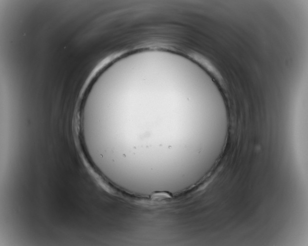 X0000083991040200703091841