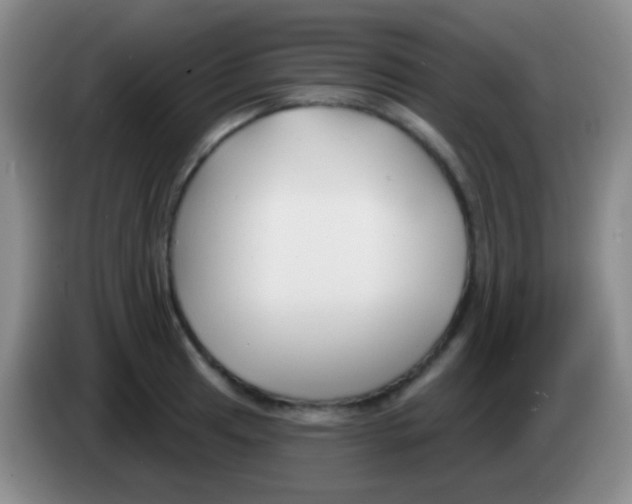 X0000083991041200703091841