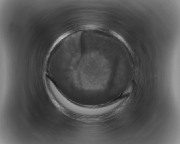 X0000083991042200703091841