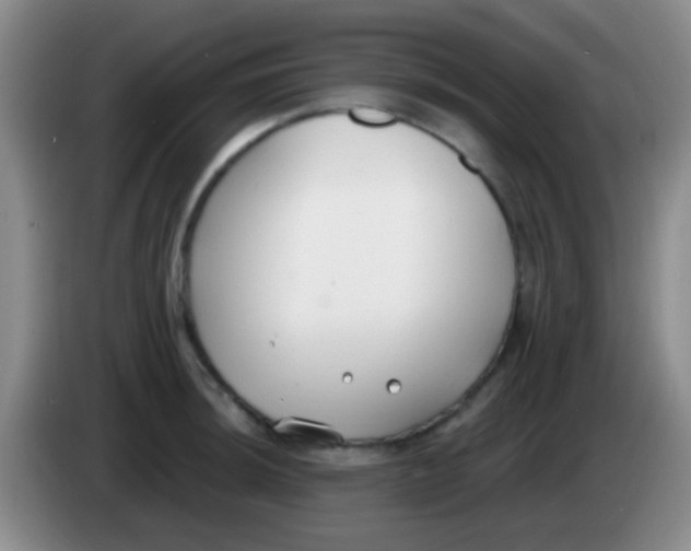 X0000083991044200703091841