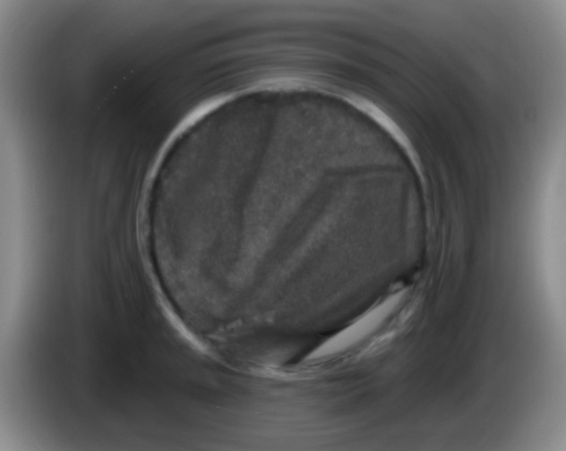 X0000083991045200703091841