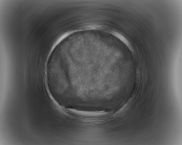 X0000083991047200703091841