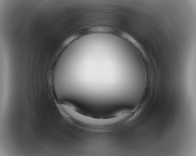 X0000083991049200703091841