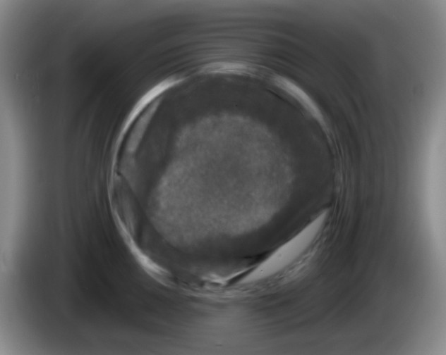 X0000083991050200703091841