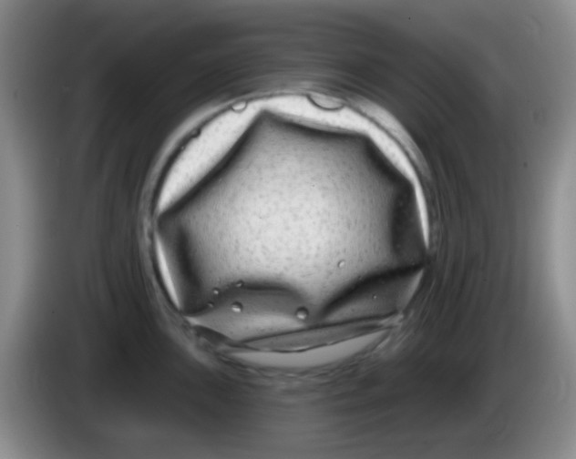 X0000083991051200703091841