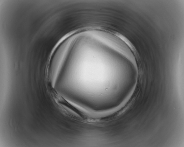 X0000083991052200703091841