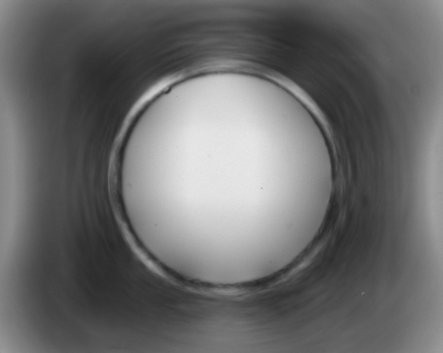 X0000083991053200703091841