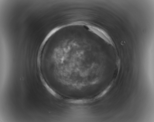 X0000083991054200703091841