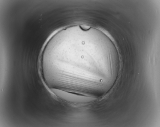 X0000083991056200703091841